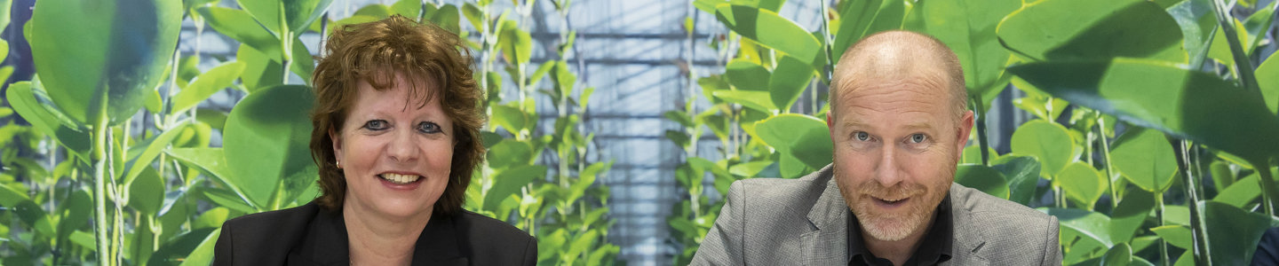 afbeelding Overeenkomst Careyn Westland